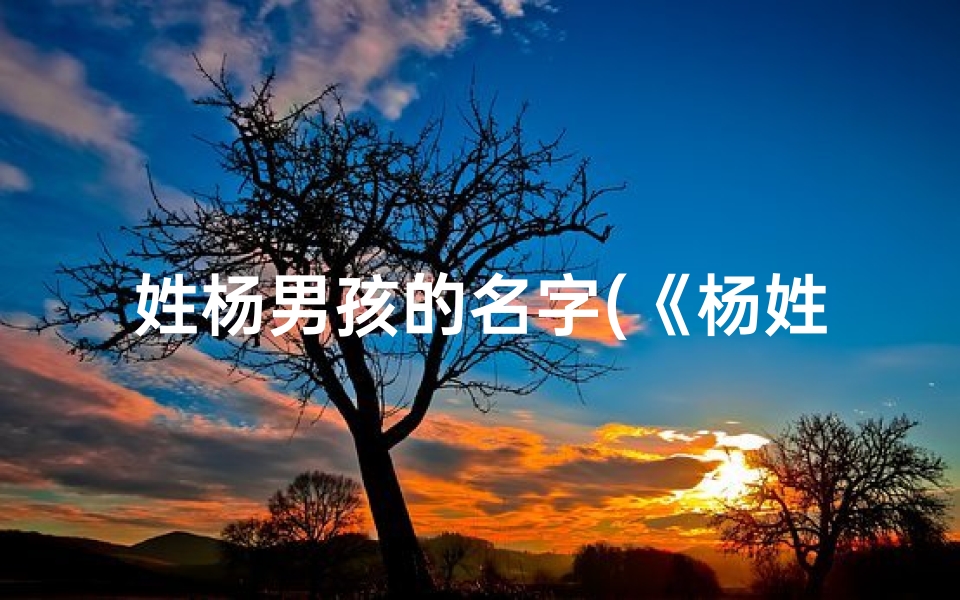 姓杨男孩的名字(《杨姓男孩宝宝取名:简单好听好记的名字推荐》)