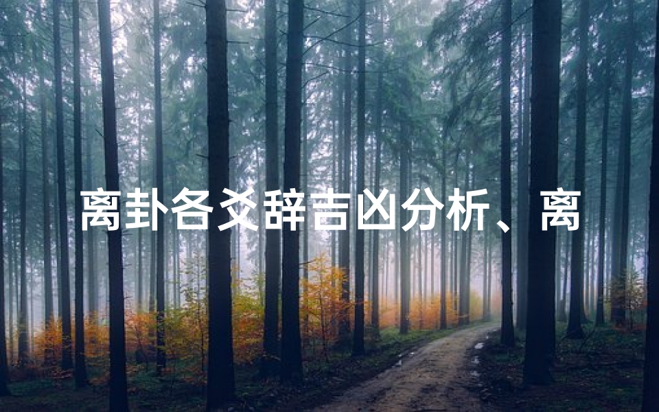 离卦各爻辞吉凶分析、离卦卦详解
