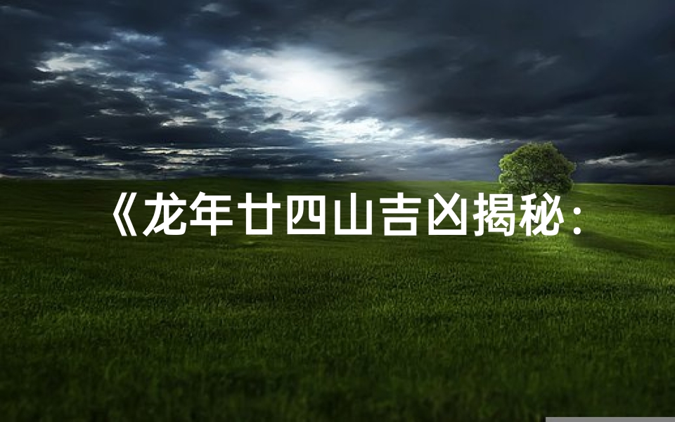 《龙年廿四山吉凶揭秘:图解财运运势指南》