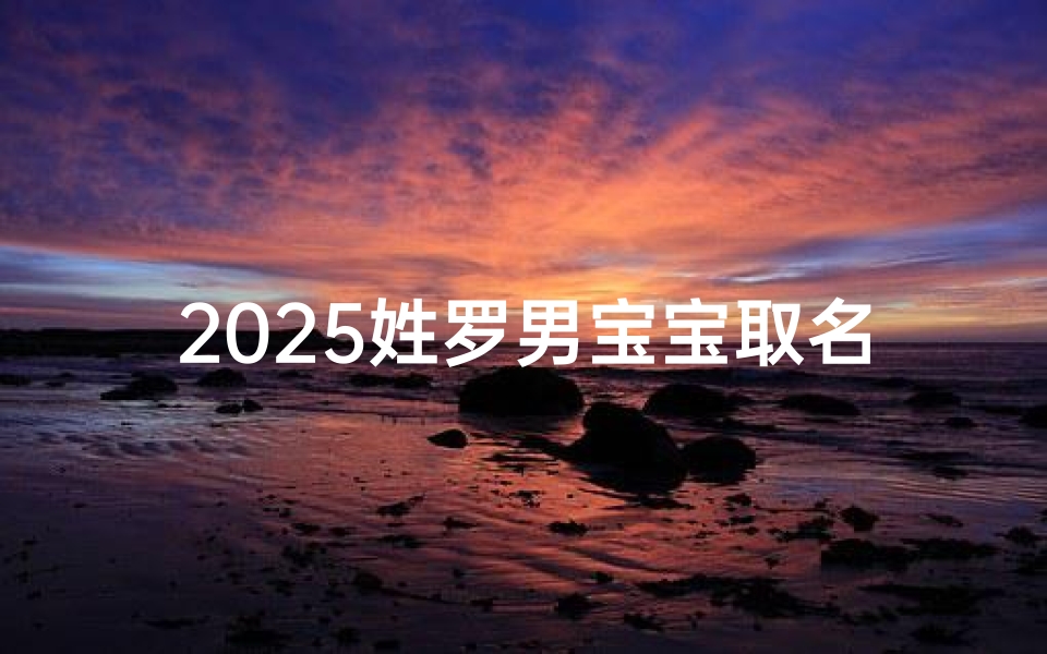 2025姓罗男宝宝取名大全_姓罗男宝宝起名大全集