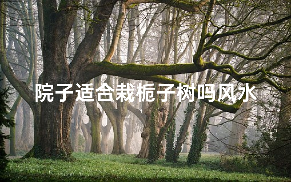 院子适合栽栀子树吗风水
