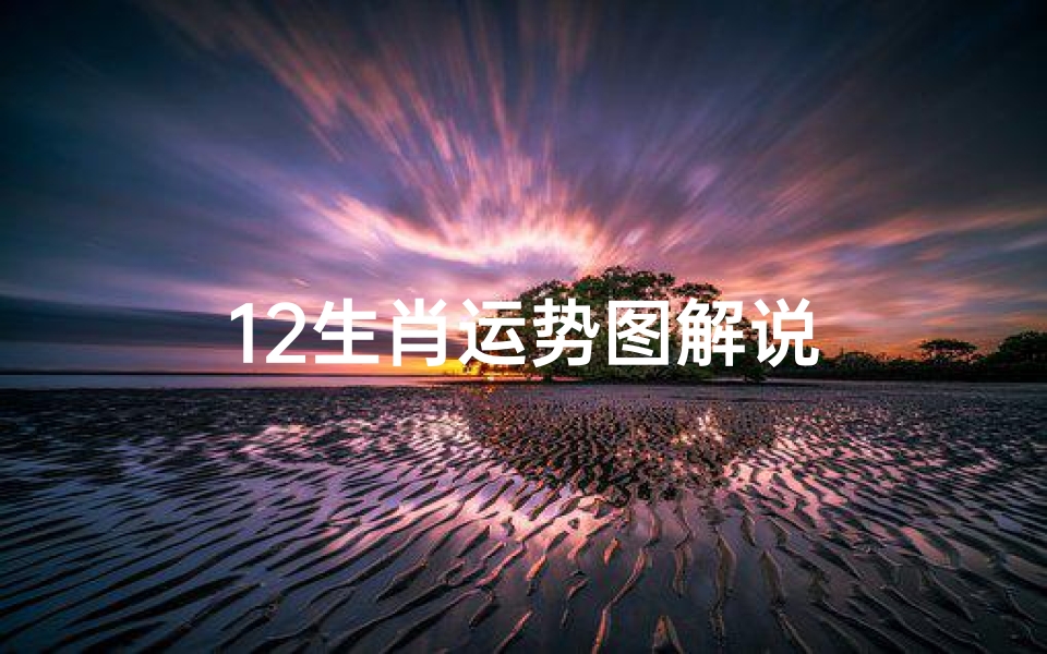12生肖运势图解说