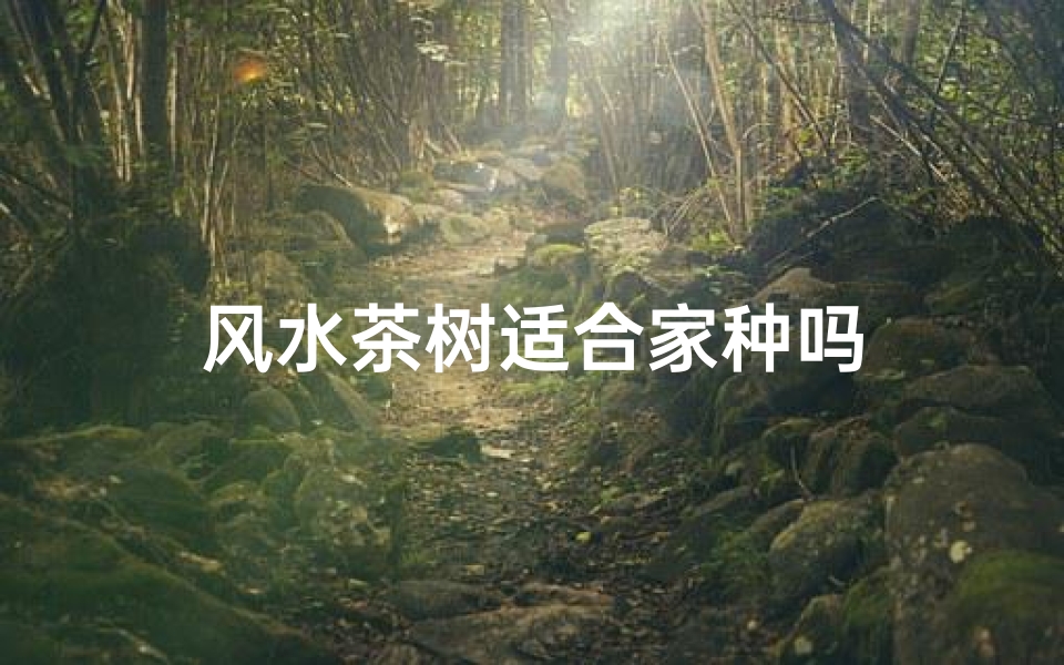 风水茶树适合家种吗