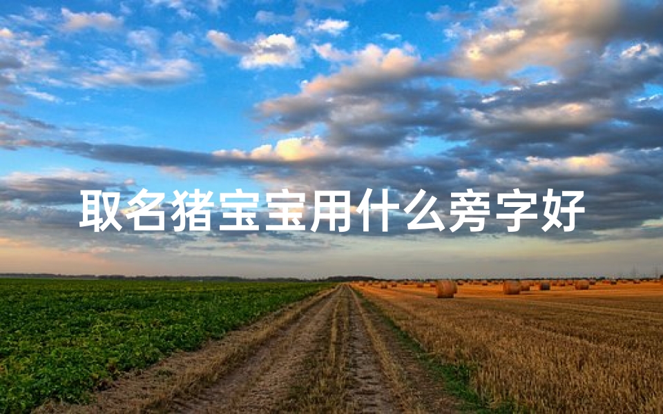 取名猪宝宝用什么旁字好听、《猪宝宝取名:探寻旁字之美,好听名字大盘点》