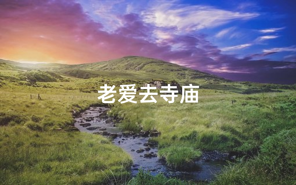 老爱去寺庙