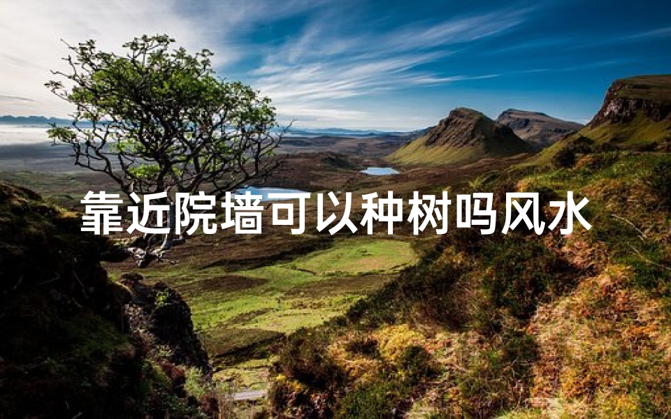 靠近院墙可以种树吗风水