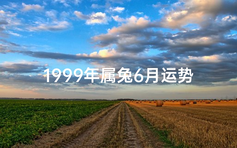 1999年属兔6月运势:跃兔腾飞,好运连连
