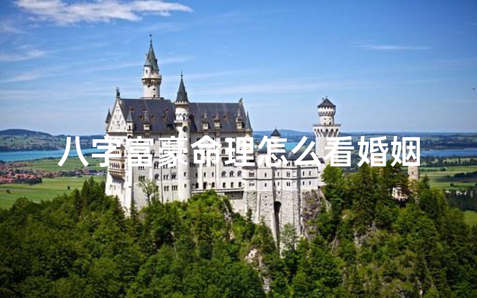 八字富豪命理怎么看婚姻_超级富豪的八字命理
