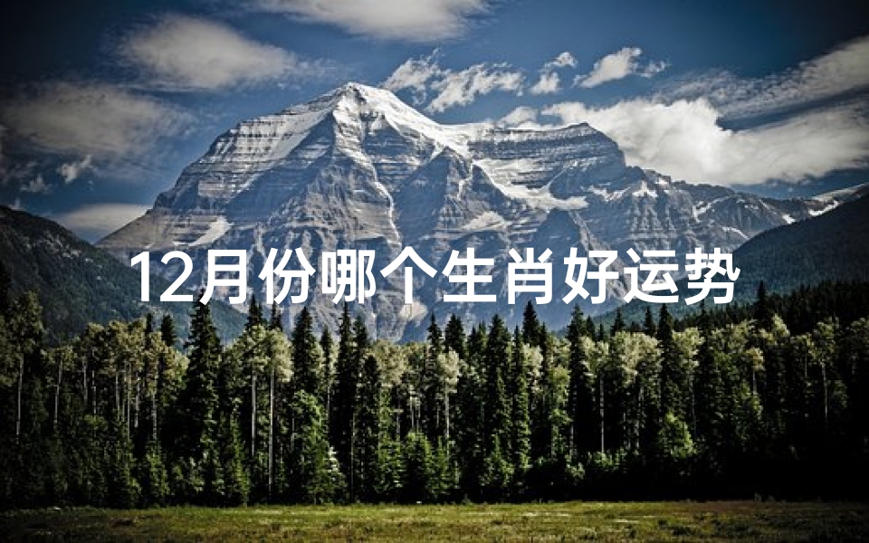 12月份哪个生肖好运势