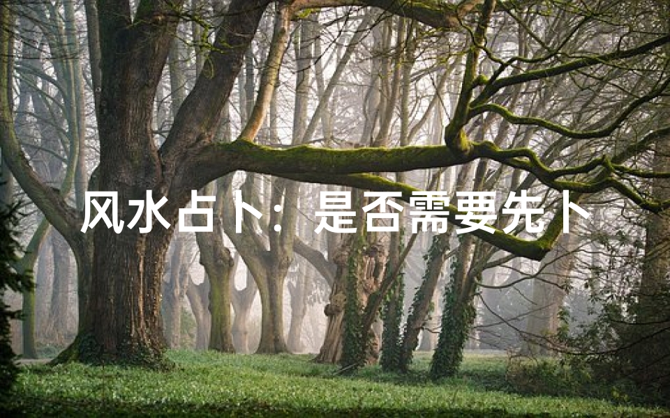 风水占卜:是否需要先卜后看?