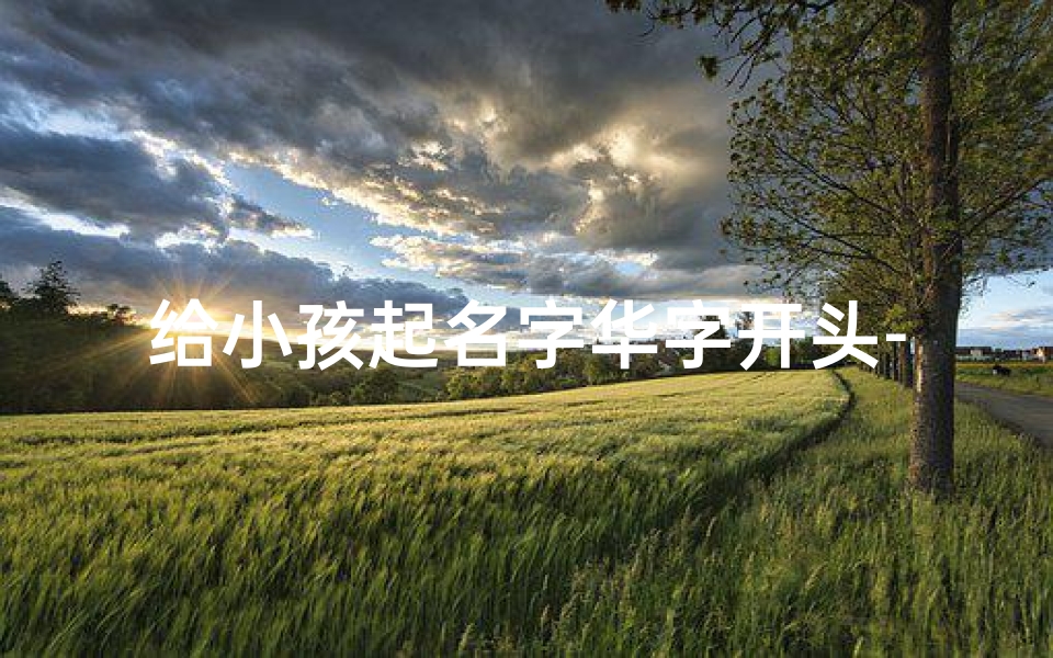给小孩起名字华字开头-《华字开头的宝宝名字,寓意美好又独特》