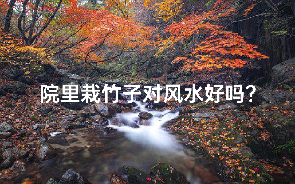 院里栽竹子对风水好吗?-《院子里种竹子,真的影响风水吗?》