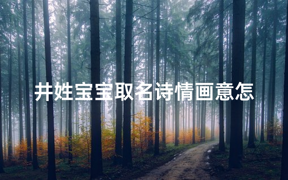 井姓宝宝取名诗情画意怎么取,井氏宝宝取名