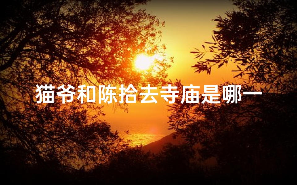 猫爷和陈拾去寺庙是哪一集-优贝算卦网