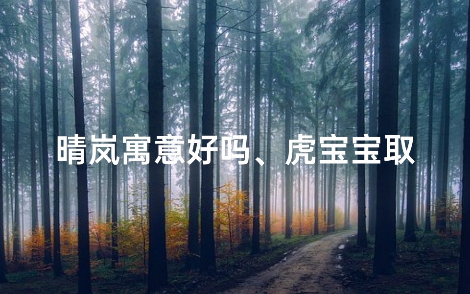 晴岚寓意好吗、虎宝宝取名晴岚：寓意阳光与山岚的灵动小名