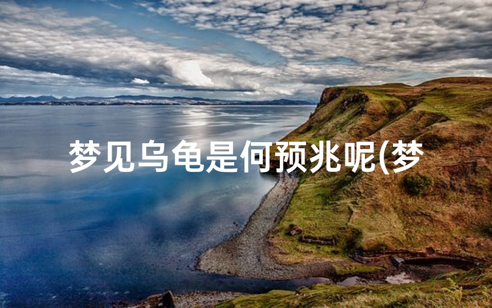 梦见乌龟是何预兆呢(梦见乌龟?)