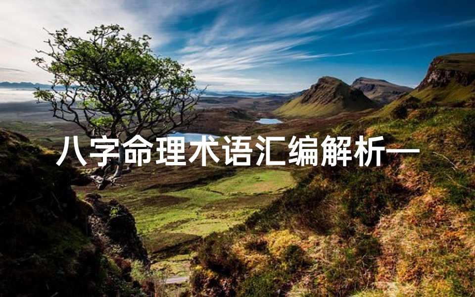 八字命理术语汇编解析—《命理八字详解大全:揭秘八字奥秘与人生运势》-优贝算卦网