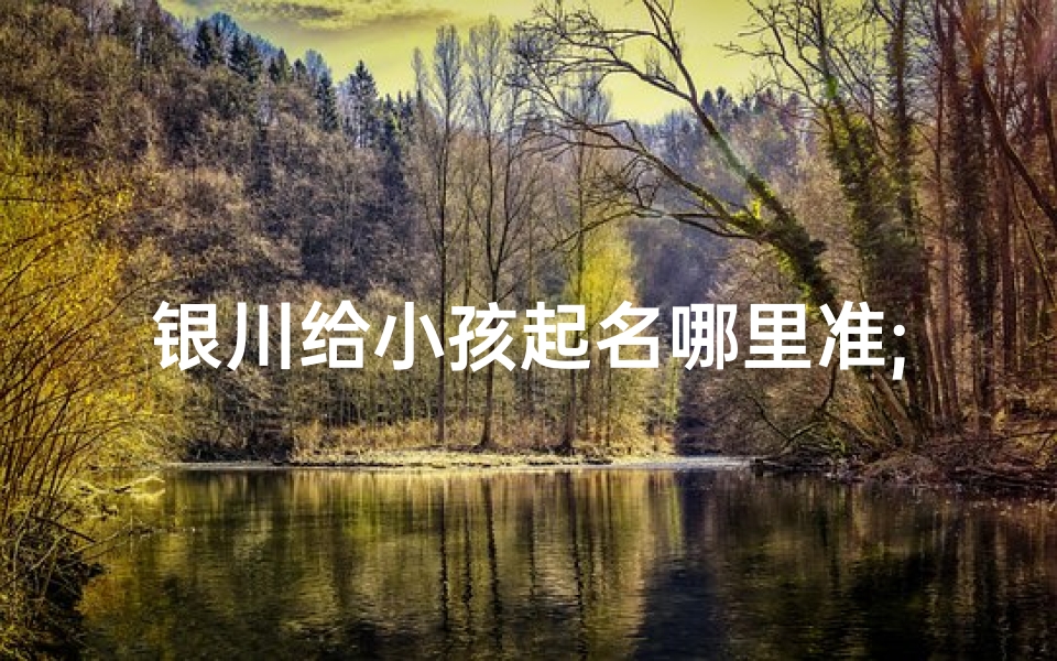 银川给小孩起名哪里准;银川给小孩起名哪里准确一点