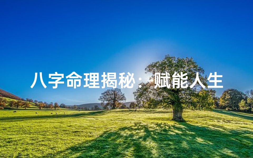 八字命理揭秘:赋能人生运势解读