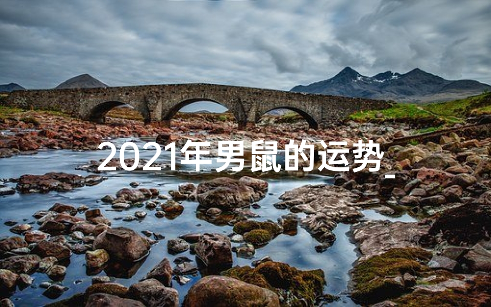 2021年男鼠的运势_2019生肖鼠运势:鼠年大吉,财运亨通