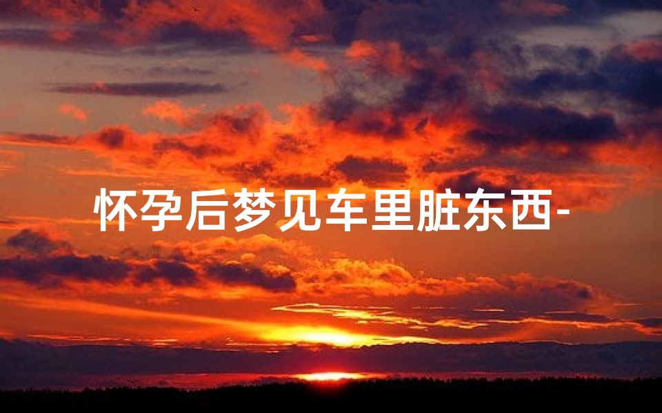 怀孕后梦见车里脏东西-孕妇梦见车是男是女