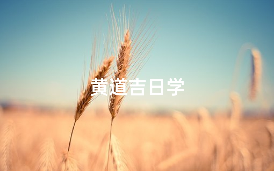 黄道吉日学-优贝算卦网