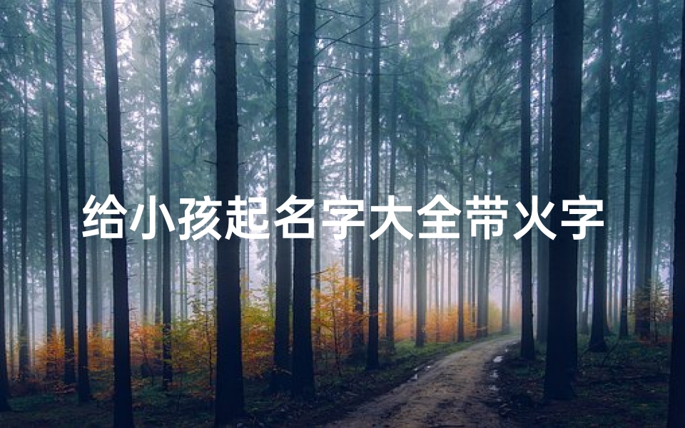 给小孩起名字大全带火字