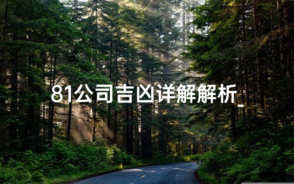 81公司吉凶详解解析_公司八十一数理吉凶