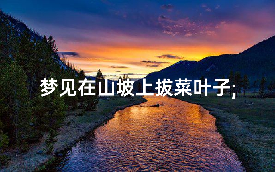 梦见在山坡上拔菜叶子;梦见拨野菜