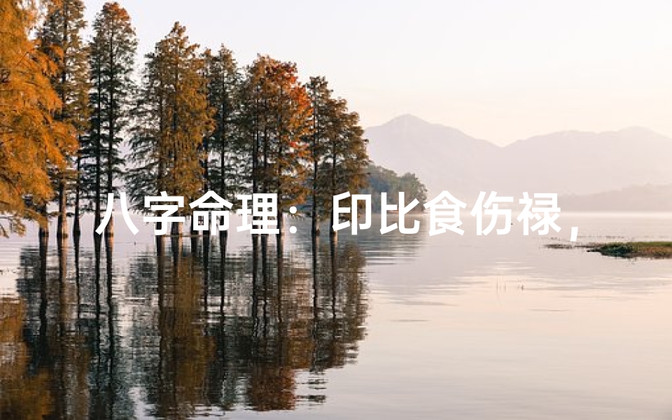 八字命理:印比食伤禄,揭秘财运人生