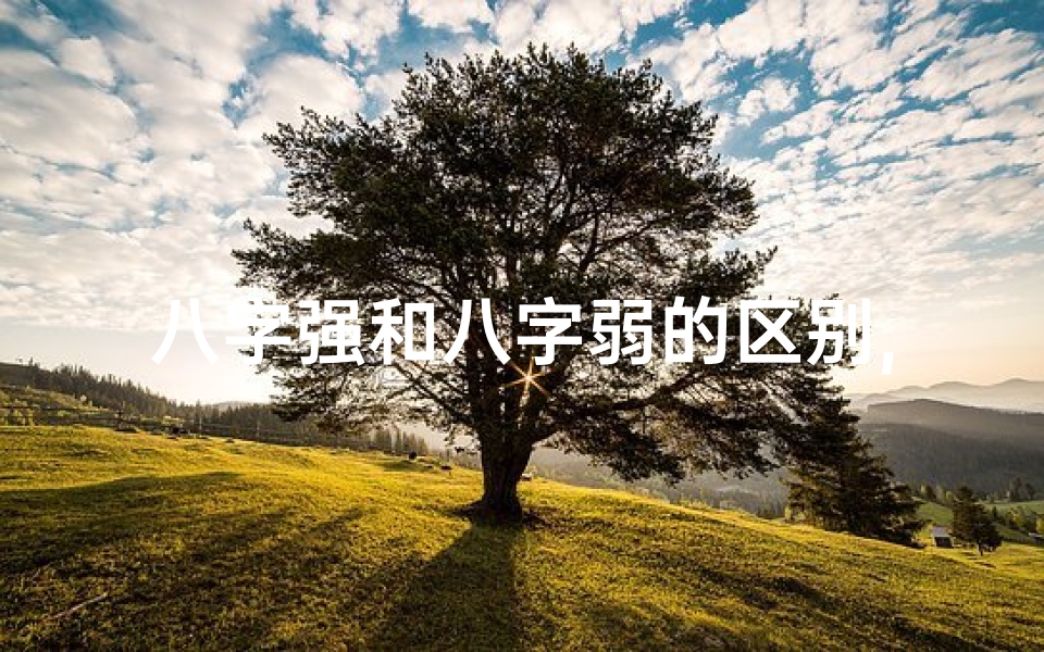 八字强和八字弱的区别,八字强命与弱命有何区别?