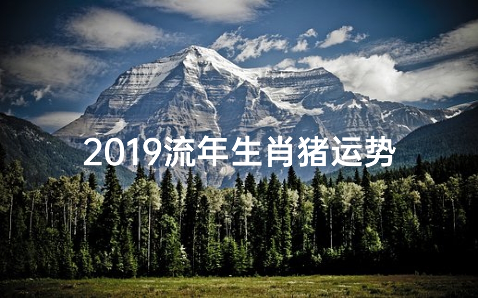 2019流年生肖猪运势、2019流年生肖猪运势如何