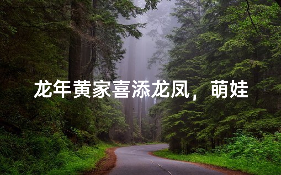 龙年黄家喜添龙凤,萌娃取名寓意吉祥