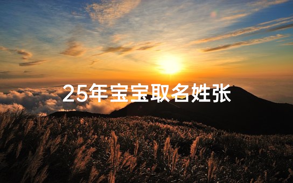 25年宝宝取名姓张