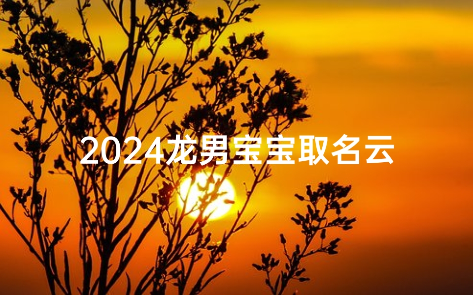 2024龙男宝宝取名云海好吗(2024龙宝宝名字)