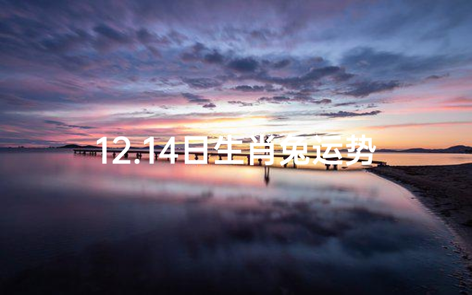 12.14日生肖兔运势;生肖兔12月运势查询