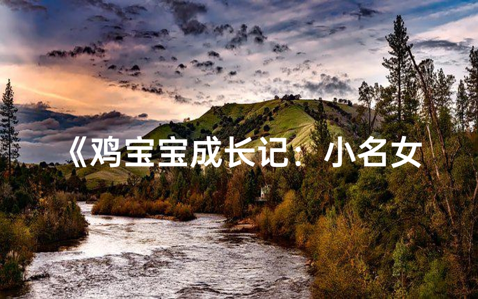 《鸡宝宝成长记:小名女孩的欢乐时光》