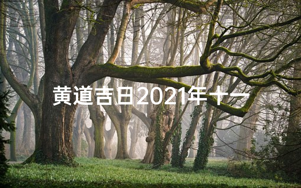 黄道吉日2021年十一月份黄道吉日查询,《精选十一份黄道吉日查询,助你把握良辰吉日》