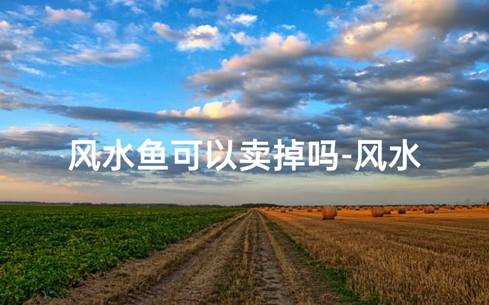 风水鱼可以卖掉吗-风水鱼搬家:换地方有讲究