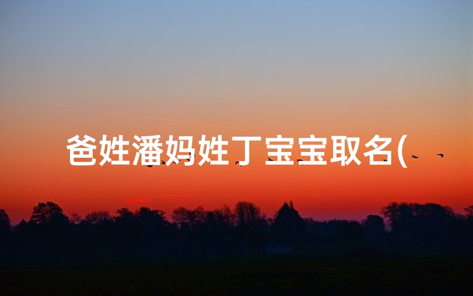 爸姓潘妈姓丁宝宝取名(潘丁宝贝:一家三口的幸福时光)