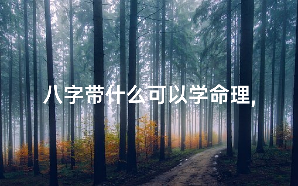 八字带什么可以学命理,八字奥秘,揭秘学命理之道