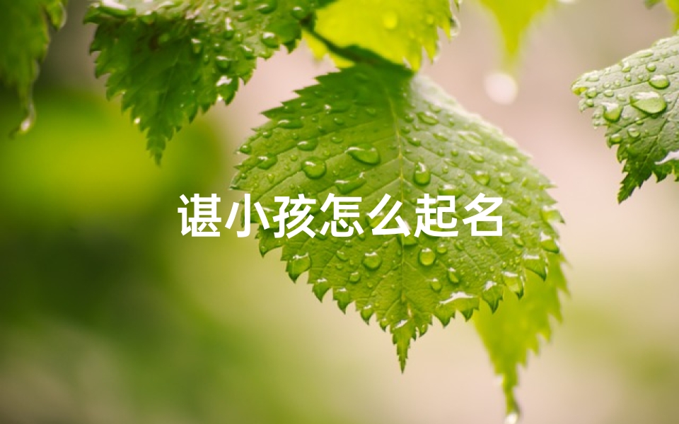 谌小孩怎么起名