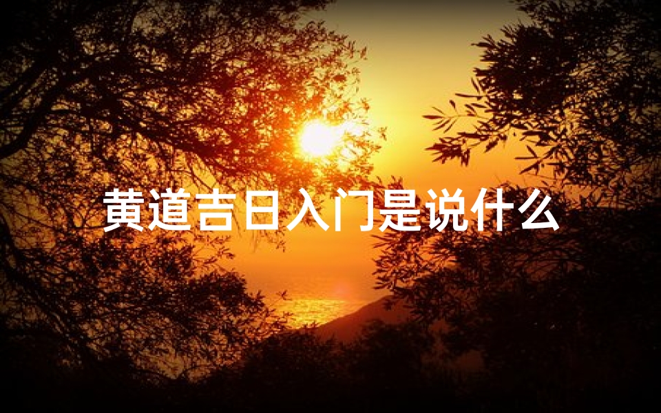 黄道吉日入门是说什么