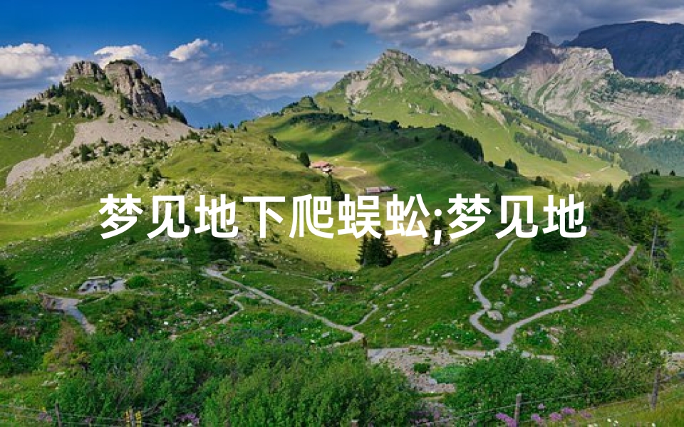 梦见地下爬蜈蚣;梦见地上很多蜈蚣在地上乱跑是什么预兆