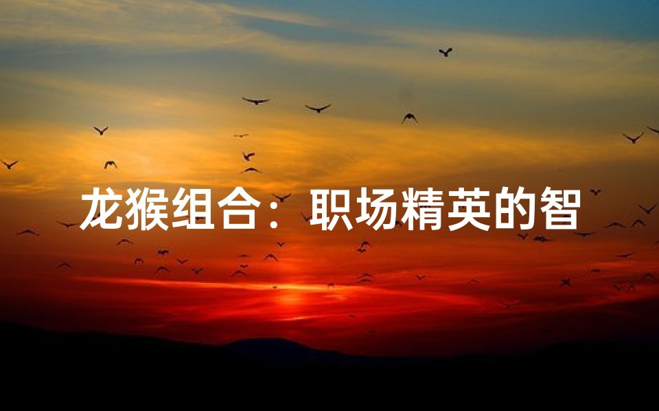 龙猴组合:职场精英的智慧碰撞