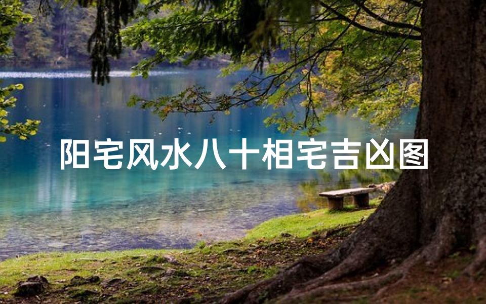 阳宅风水八十相宅吉凶图_《阳宅风水八十相宅吉凶图解密》