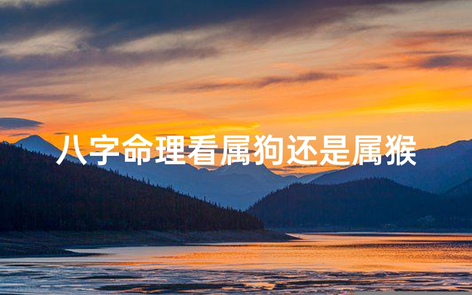 八字命理看属狗还是属猴;八字看属于什么命