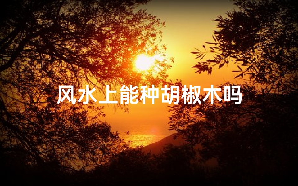 风水上能种胡椒木吗