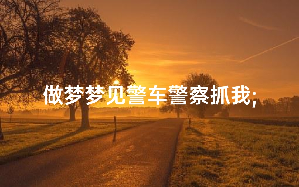 做梦梦见警车警察抓我;做梦梦见警车警察抓我什么意思