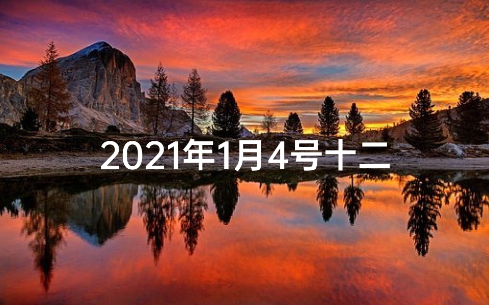 2021年1月4号十二生肖运势(1月4日生肖虎运势:运势大揭秘,好运连连)